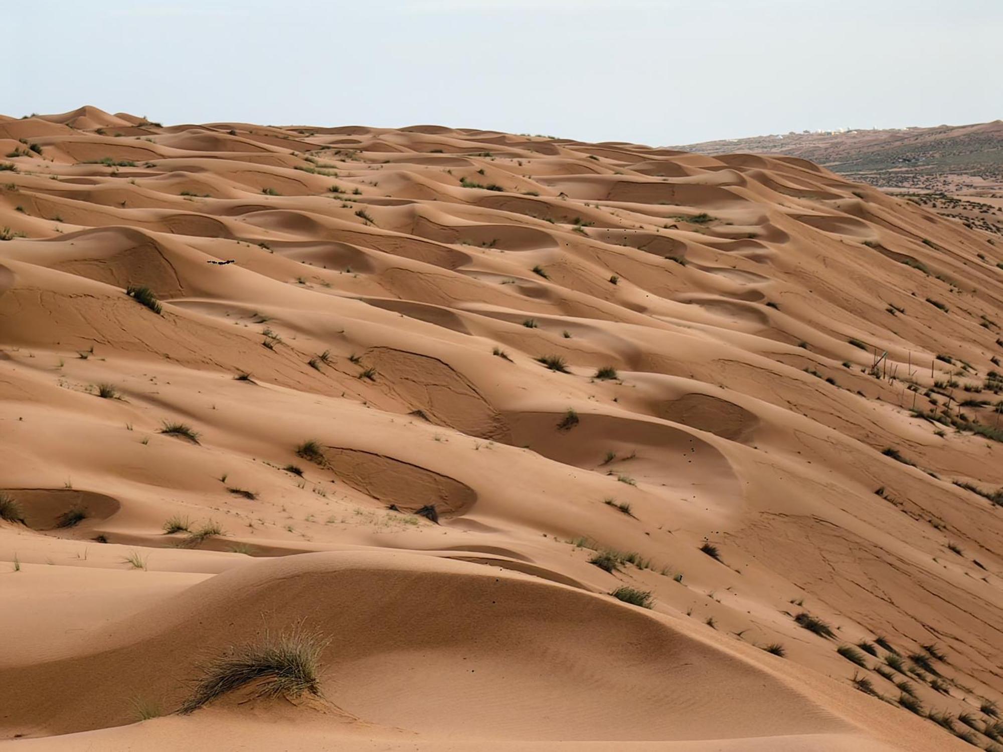Desert Rose Camp Badīyah Εξωτερικό φωτογραφία